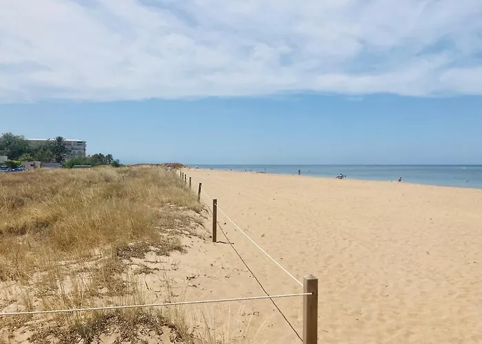 Strandapartment Sunnybeach Appartement